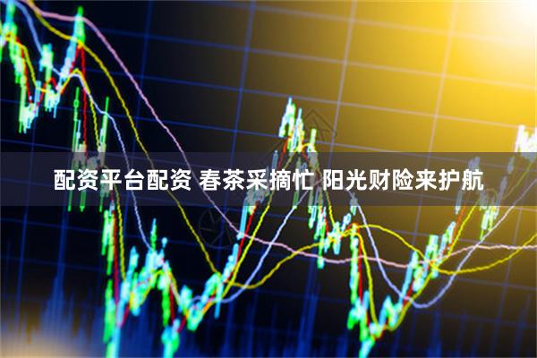 配资平台配资 春茶采摘忙 阳光财险来护航