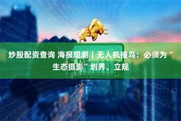 炒股配资查询 海报观潮丨无人机撞鸟：必须为“生态摄影”划界、立规