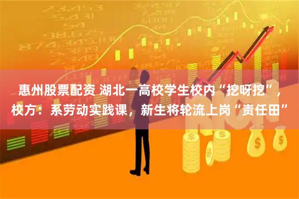 惠州股票配资 湖北一高校学生校内“挖呀挖”，校方：系劳动实践课，新生将轮流上岗“责任田”